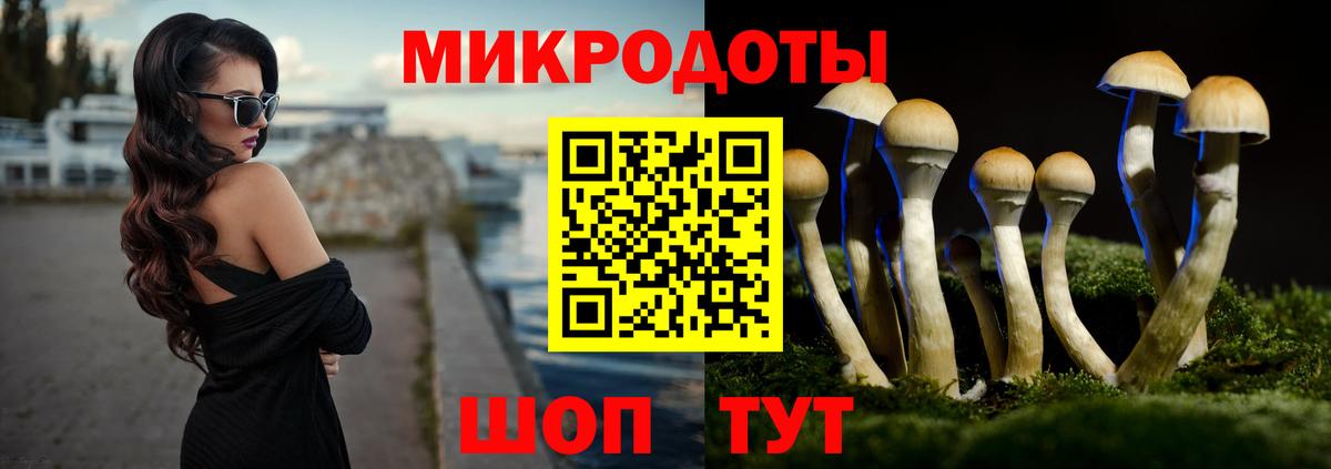 Галлюциногенные грибы прущие грибы Зима